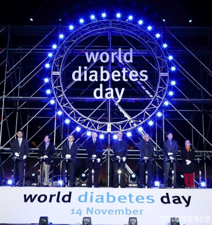 보도사진_한국베링거인겔하임-한국릴리, 세계 당뇨병의 날 기념 
